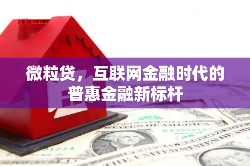 海东微粒贷，互联网金融时代的普惠金融新标杆