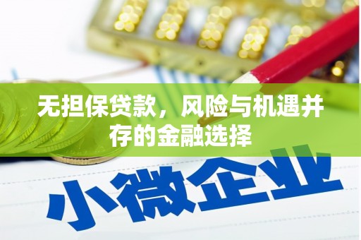 路环岛无担保贷款，风险与机遇并存的金融选择