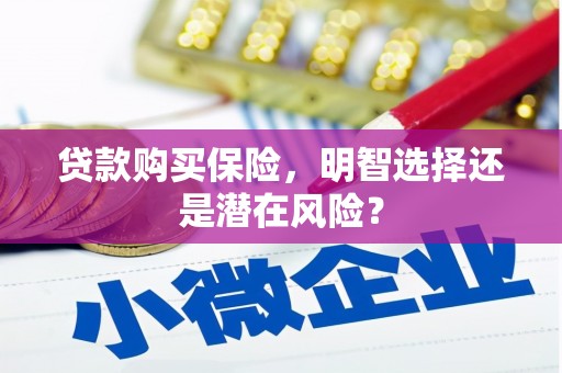光泽贷款购买保险，明智选择还是潜在风险？