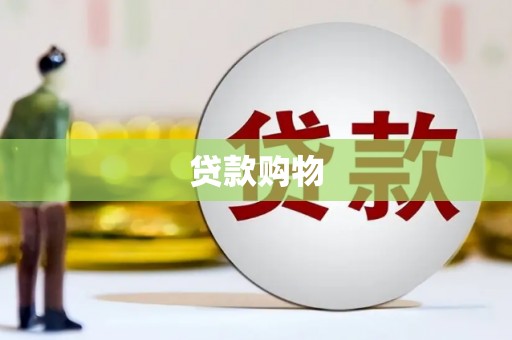 四湖贷款购物