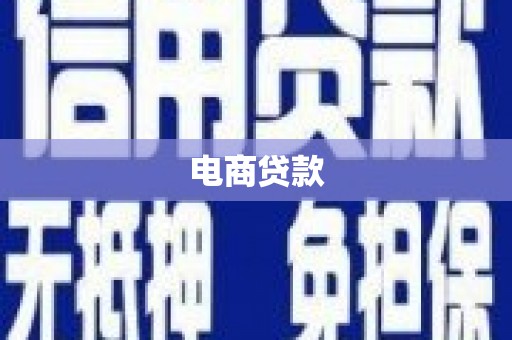 新华电商贷款