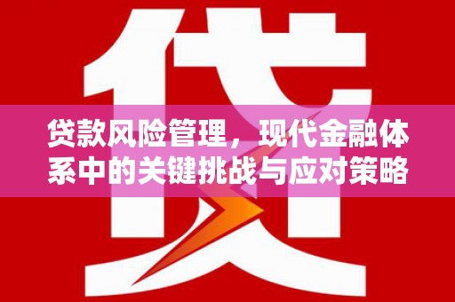 莫旗贷款风险管理，现代金融体系中的关键挑战与应对策略