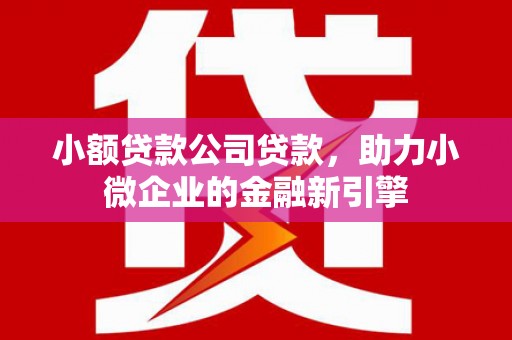 曲水小额贷款公司贷款，助力小微企业的金融新引擎