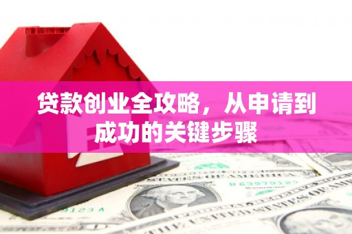 呼玛贷款创业全攻略，从申请到成功的关键步骤