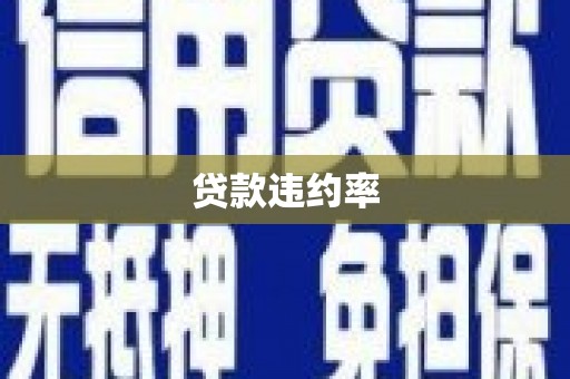 石排贷款违约率