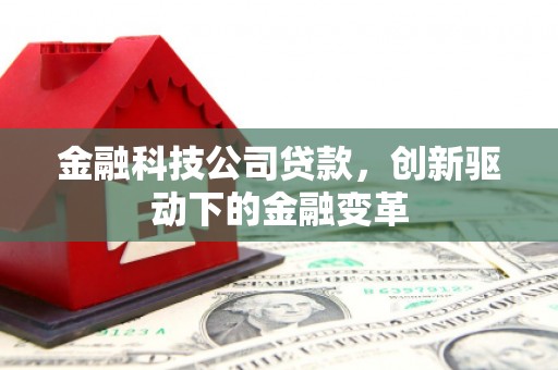 大名金融科技公司贷款，创新驱动下的金融变革