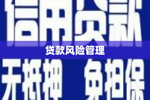 崆峒贷款风险管理
