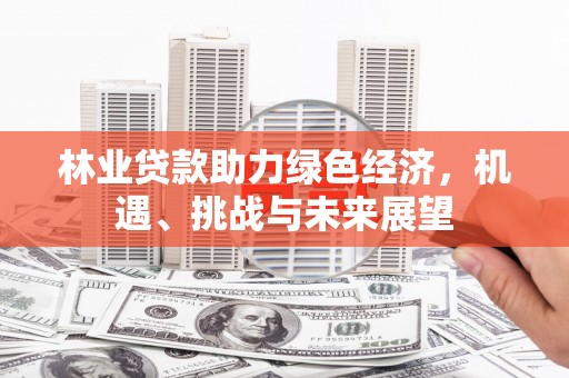 丰宁林业贷款助力绿色经济，机遇、挑战与未来展望