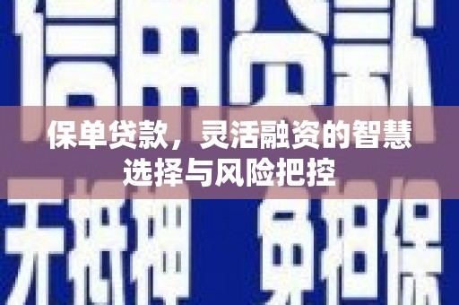 佛冈保单贷款，灵活融资的智慧选择与风险把控