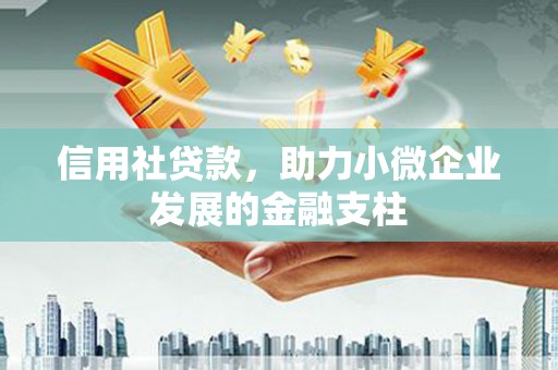 七星信用社贷款，助力小微企业发展的金融支柱