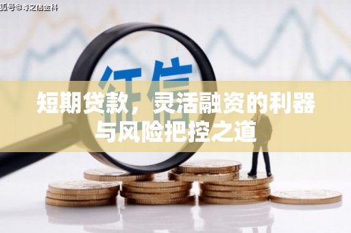 枞阳短期贷款，灵活融资的利器与风险把控之道