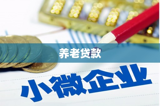和田养老贷款