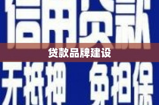 滨海贷款品牌建设