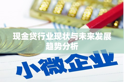 海原现金贷行业现状与未来发展趋势分析