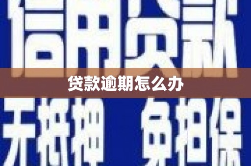 九原贷款逾期怎么办