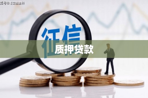张掖质押贷款