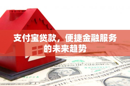 盐津支付宝贷款，便捷金融服务的未来趋势