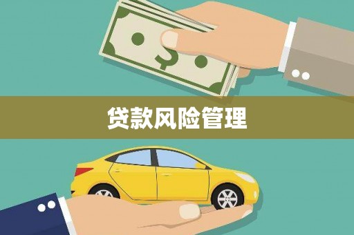 镇康贷款风险管理
