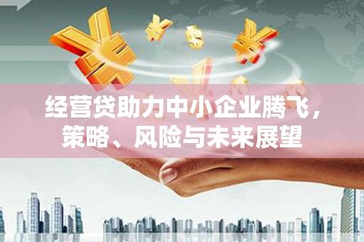 神农架经营贷助力中小企业腾飞，策略、风险与未来展望