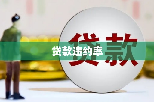惠安贷款违约率