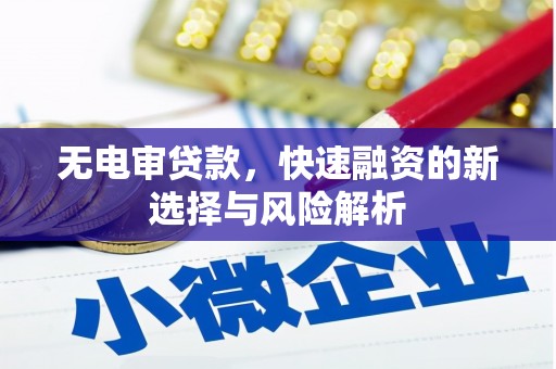 郁南无电审贷款，快速融资的新选择与风险解析