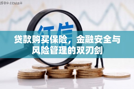 大兴安岭贷款购买保险，金融安全与风险管理的双刃剑