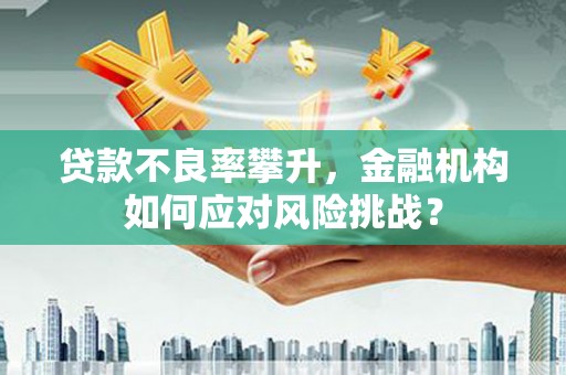 市中区贷款不良率攀升，金融机构如何应对风险挑战？