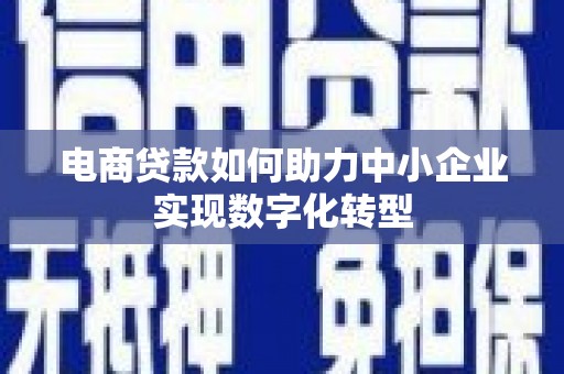 田尾电商贷款如何助力中小企业实现数字化转型