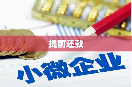 杜集提前还款