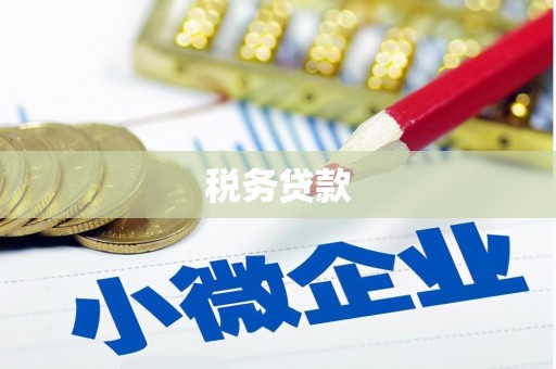 济源税务贷款