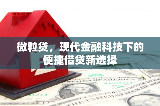 玉田微粒贷，现代金融科技下的便捷借贷新选择
