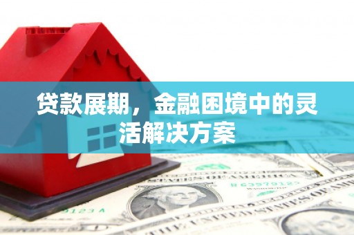 临猗贷款展期，金融困境中的灵活解决方案