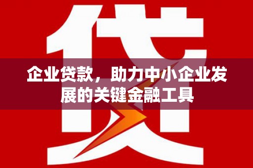 平果企业贷款，助力中小企业发展的关键金融工具