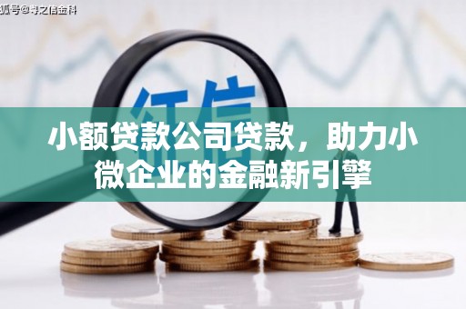 长岭小额贷款公司贷款，助力小微企业的金融新引擎
