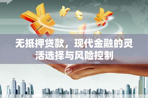 南安无抵押贷款，现代金融的灵活选择与风险控制