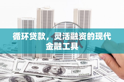 海盐循环贷款，灵活融资的现代金融工具