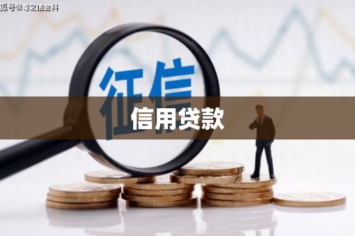 顺庆信用贷款