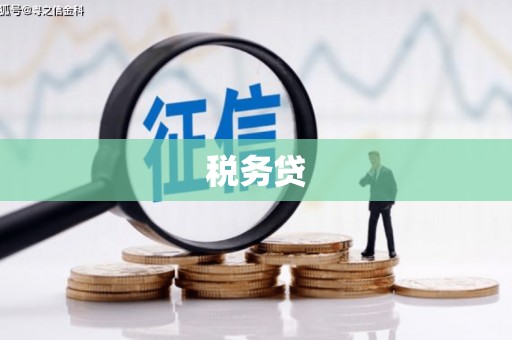 桐城税务贷