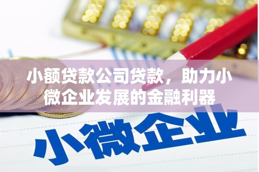 钦北小额贷款公司贷款，助力小微企业发展的金融利器