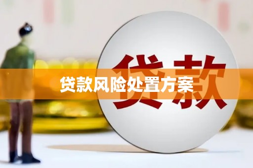 吴忠贷款风险处置方案