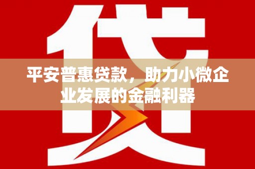 咸宁平安普惠贷款，助力小微企业发展的金融利器