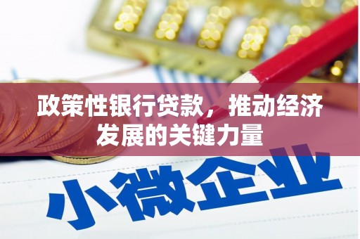 滦县政策性银行贷款，推动经济发展的关键力量
