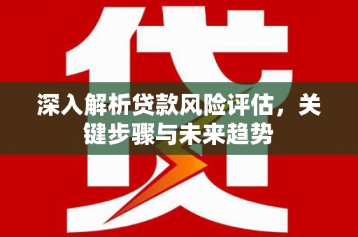 宜君深入解析贷款风险评估，关键步骤与未来趋势