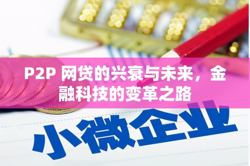 西华P2P 网贷的兴衰与未来，金融科技的变革之路