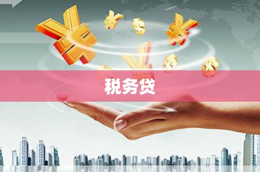 林芝税务贷