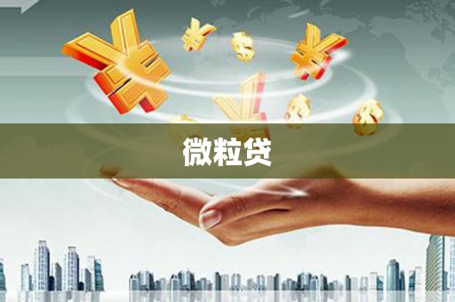 那坡微粒贷