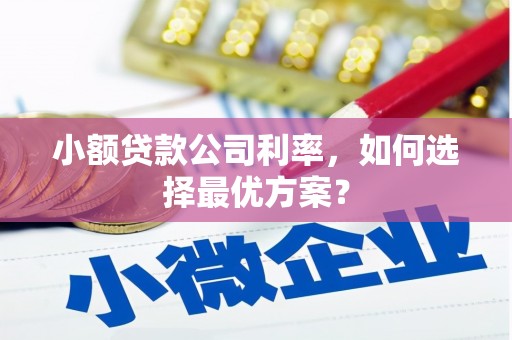 会理小额贷款公司利率，如何选择最优方案？