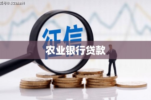 宁陵农业银行贷款