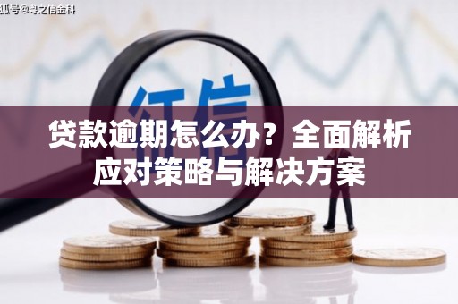 绥德贷款逾期怎么办？全面解析应对策略与解决方案