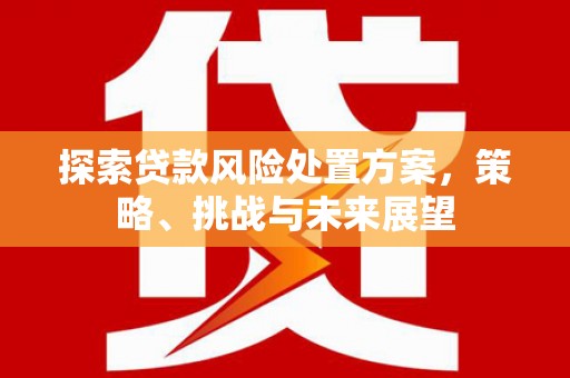 商南探索贷款风险处置方案，策略、挑战与未来展望